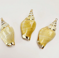 Phoenix Tail Shell Charm