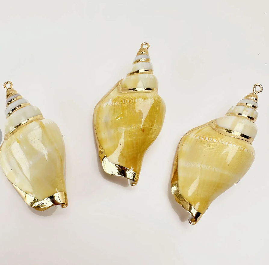 Phoenix Tail Shell Charm
