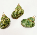 Sage Shell Charm