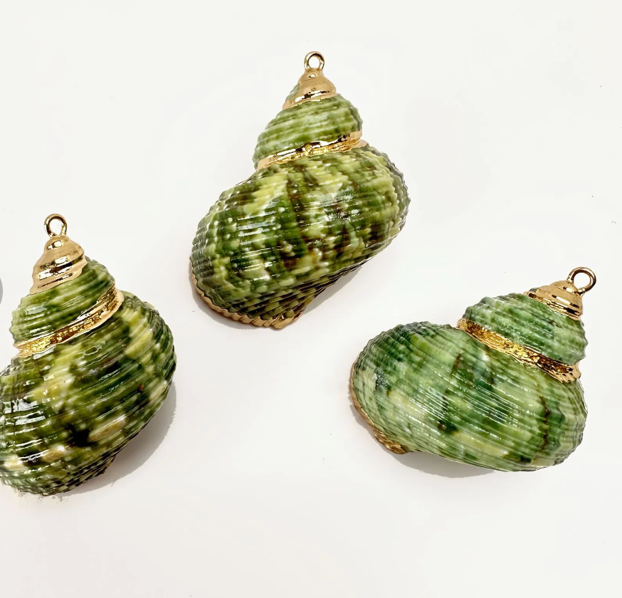 Sage Shell Charm