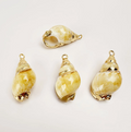 Golden Conch Shell Charm