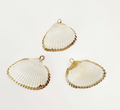 Arctic Shell Charm