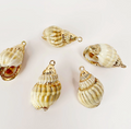 Dune Shell Charm.