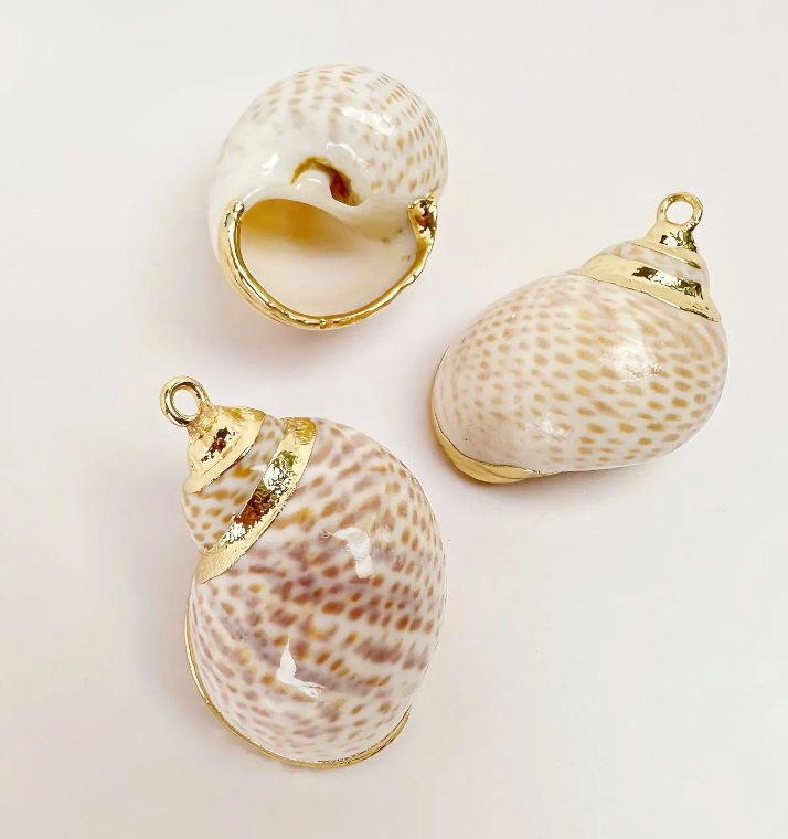 Cocoa Conch Charm