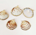 Amber Wave Shell Charm