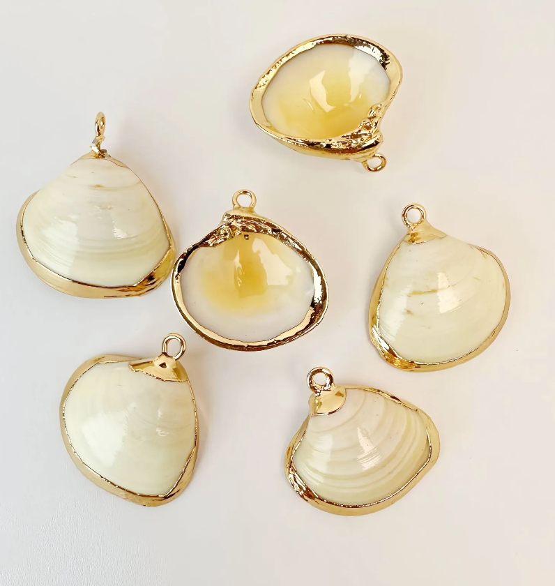 Honey Glaze Shell Charm